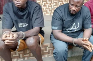 Police arrest two over theft of electricity transformers and cable wires in Edo