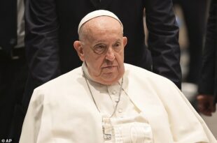 Pope Francis hits out at couples who have pets instead�of�children