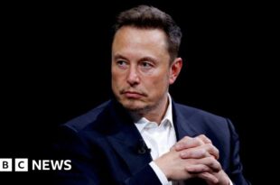 Trump says Musk could head 'government efficiency' force