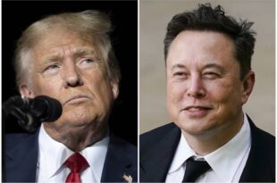 Trump to employ Elon Musk if he wins election