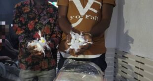 Two suspected drug dealers arrested with 120 wraps of cocaine in Lagos