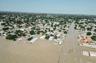 Wild animals ?on the run?, cemetery submerged as Borno experiences worst Flood disaster