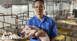 Animal welfare: In Vietnam digital systems are helping farmers