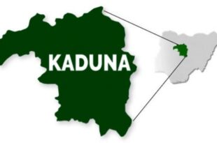 Bandits abduct four farmers, steal food items in Kaduna