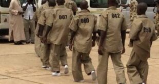 Borno Govt confirms escape of six repentant terrorists from deradicalisation programme