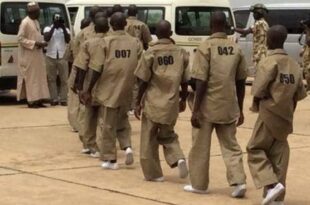 Borno Govt confirms escape of six repentant terrorists from deradicalisation programme