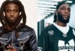 Burna Boy sparks excitement with potential collaboration with Shaboozey