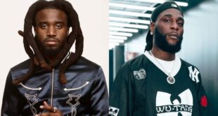 Burna Boy sparks excitement with potential collaboration with Shaboozey