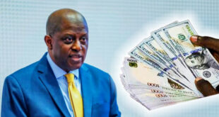 CBN does not determine FX rate ? Cardoso