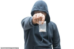 Court rules drug dealer can stay in UK because deporting him would upset his mother