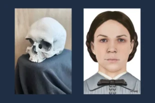 DNA testing reveals skull found in a wall decades ago belonged to teen who d!ed 150 years ago