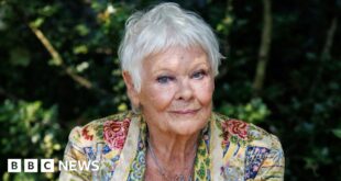 Dame Judi Dench and John Cena to voice Meta AI chatbot