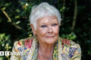 Dame Judi Dench and John Cena to voice Meta AI chatbot