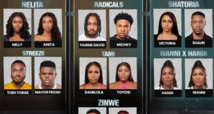 Do the BBNaija season 9 housemates qualify as ‘celebrities’? [Opinion]