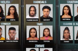 Do the BBNaija season 9 housemates qualify as ‘celebrities’? [Opinion]