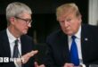 Donald Trump says Apple boss Tim Cook called him with EU concerns