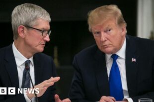 Donald Trump says Apple boss Tim Cook called him with EU concerns