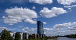 ECB highlights 'fragile' economic recovery, praises Draghi's reforms