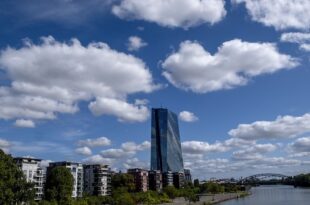 ECB highlights 'fragile' economic recovery, praises Draghi's reforms