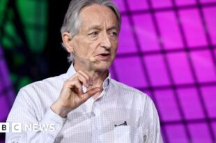 Geoffrey Hinton and John Hopfield share Nobel Prize for work on AI