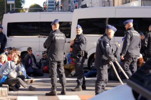 Greta Thunberg detained at fossil fuel subsidy protest in Brussels