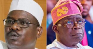 Hire mercenaries to fight terrorists - Ndume tells Tinubu