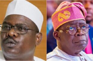 Hire mercenaries to fight terrorists - Ndume tells Tinubu