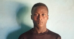 Man arrested in Gombe for kidnapping and k!lling his brother