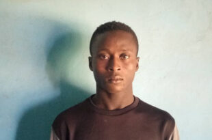 Man arrested in Gombe for kidnapping and k!lling his brother