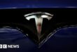 Musk's Tesla probed by US over safety of self-driving software