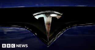 Musk's Tesla probed by US over safety of self-driving software