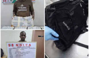 NDLEA arrests Thailand returnee with N3.1bn heroine