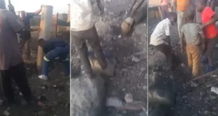 Neighbours scurry to rescue little boy trapped in drainage pipe while playing