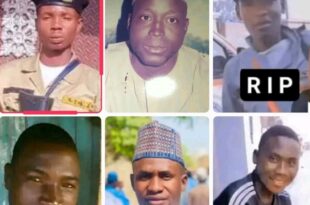 Nine k!lled as bandits ambush security operatives in Katsina