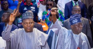 No vacuum in leadership with Tinubu and Shettima abroad - Presidency