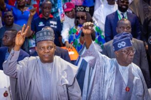 No vacuum in leadership with Tinubu and Shettima abroad - Presidency