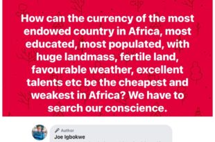 ?Nobody is working for this great country? Joe Igbokwe laments as he questions how Nigeria?s currency is the weakest in Africa