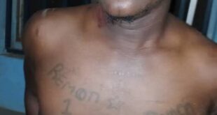 Police arrest notorious cultist terrorizing Ogun communities