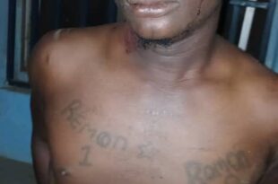 Police arrest notorious cultist terrorizing Ogun communities