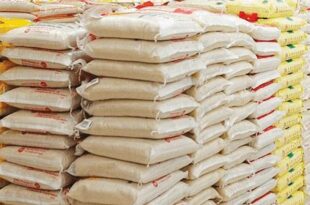 Price of bag of local rice rose 152% to N95,738 in one year - NBS