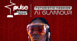 Pulse Influencer Awards 2024: Full list of winners for Nigeria