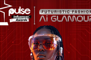 Pulse Influencer Awards 2024: Full list of winners for Nigeria