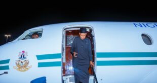 Shettima cancels Samoa trip mid-way as