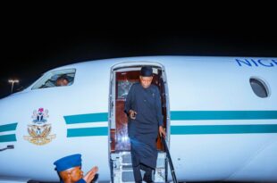 Shettima cancels Samoa trip mid-way as