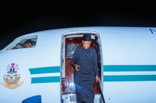 Shettima?s life is at risk - Borno Speaker says as he demands new aircraft for Vice President