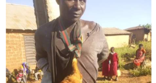 Suspected thief tied to electric pole with stolen chicken around his neck in Plateau