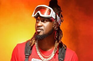 There’s a difference between freedom of data and speech - Paul Okoye