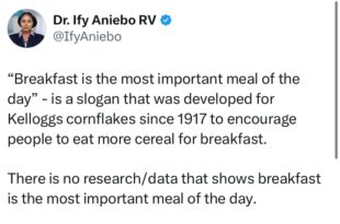 There?s no research that supports this - Dr Ify Aniebo, wife of LP?s 2023 governorship candidate in Lagos state, Gbadebo Rhodes-Vivour counters claim of breakfast being the most important meal of the day