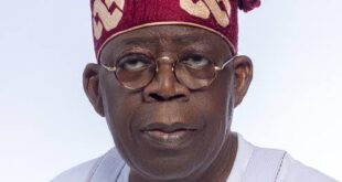 Tinubu nominates Bianca Odumegwu Ojukwu and six others as ministers