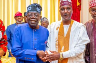 Tinubu upgrades Speaker Abbas